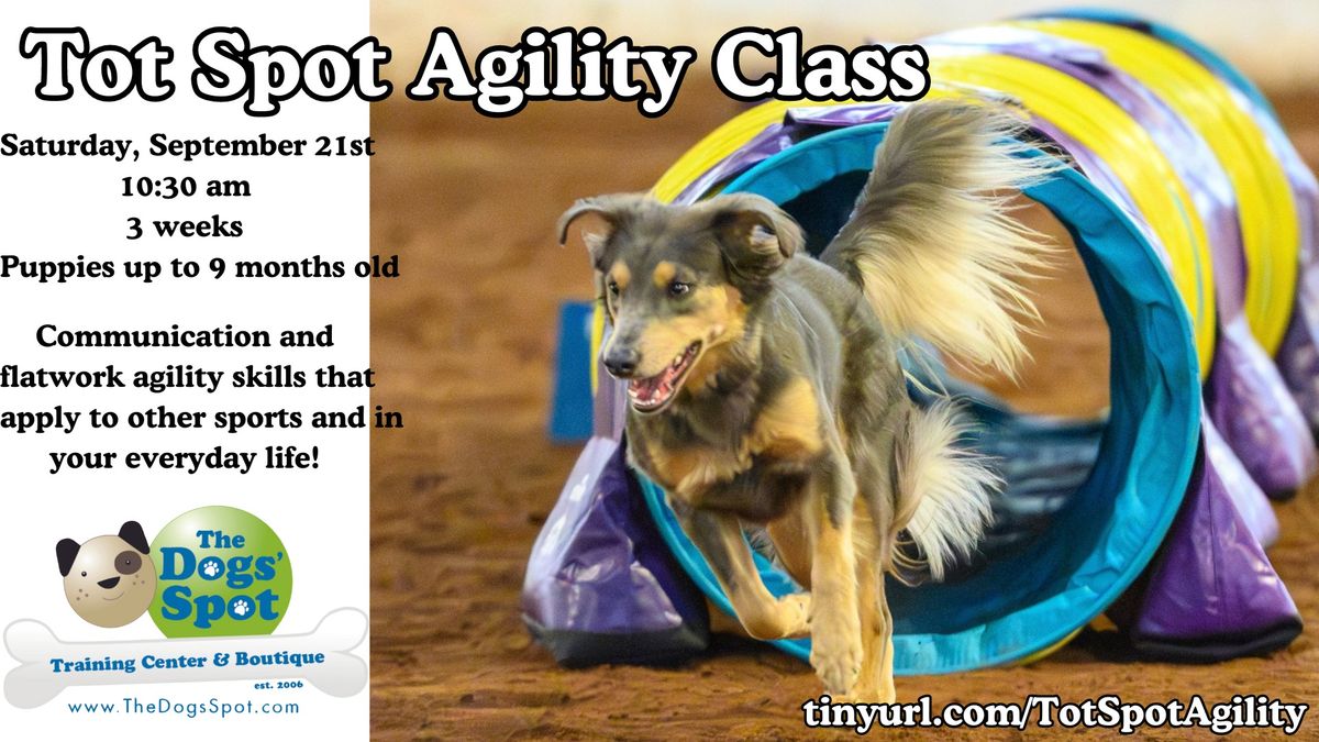 Tot Spot Agility