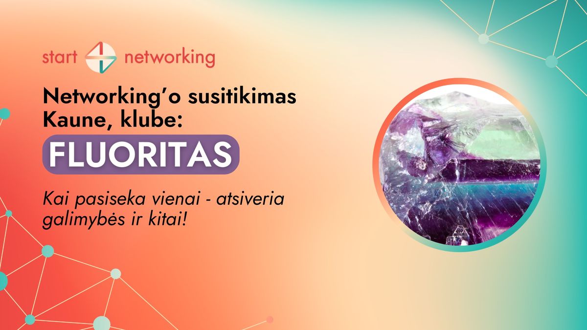 Networking'o susitikimas Kaune, klube FLUORITAS