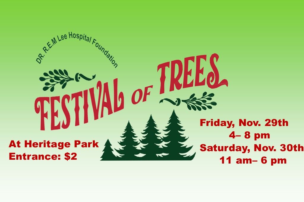 6th Annual Dr. REM Lee Hospital Foundation- Festival of Trees