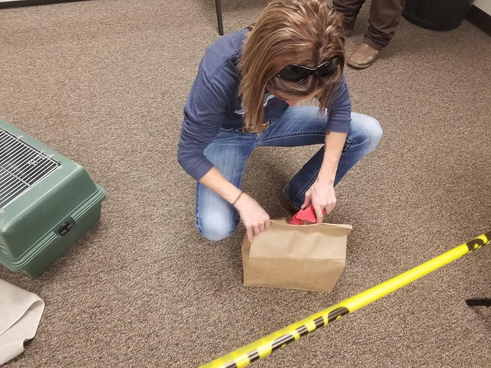 Crime Scene Basics for Animal Control Class & Local Rabies Control Authority Class, Brazoria County!