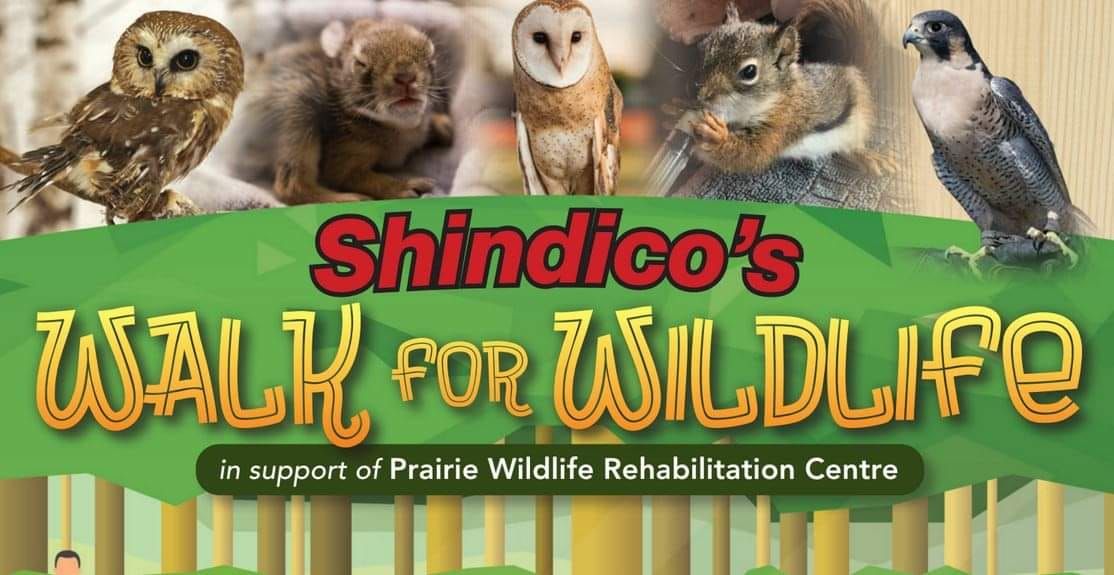 10th Annual Walk for Wildlife