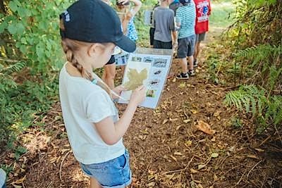 Biodiversity Summer Day Camp 2