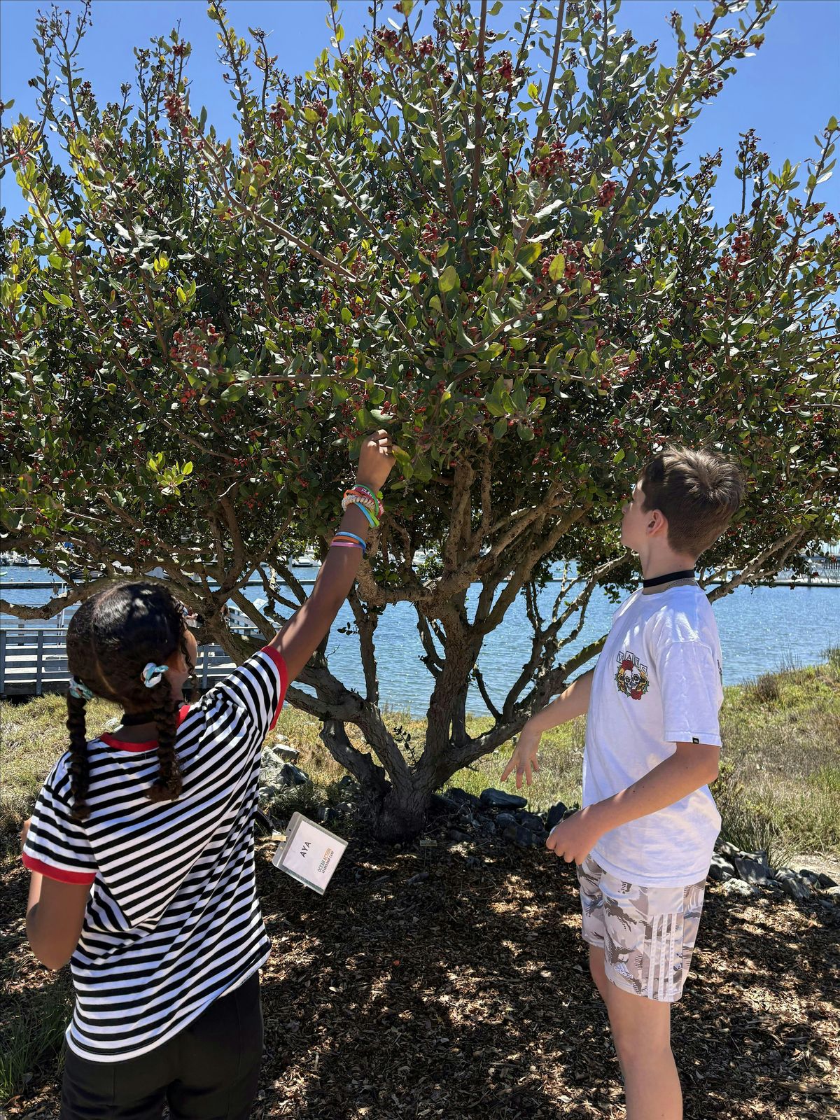 Bay Health Walk at Jack Dunster Marine Reserve | Clean Bay Collective