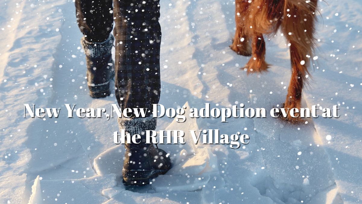 New Year, New Dog Adoption Event at RHR Headquarters