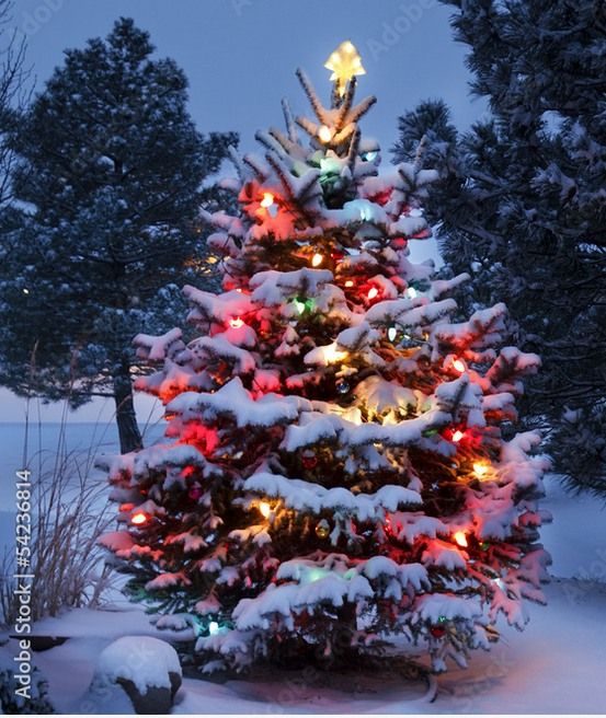 Tree Lighting on North Andover Common