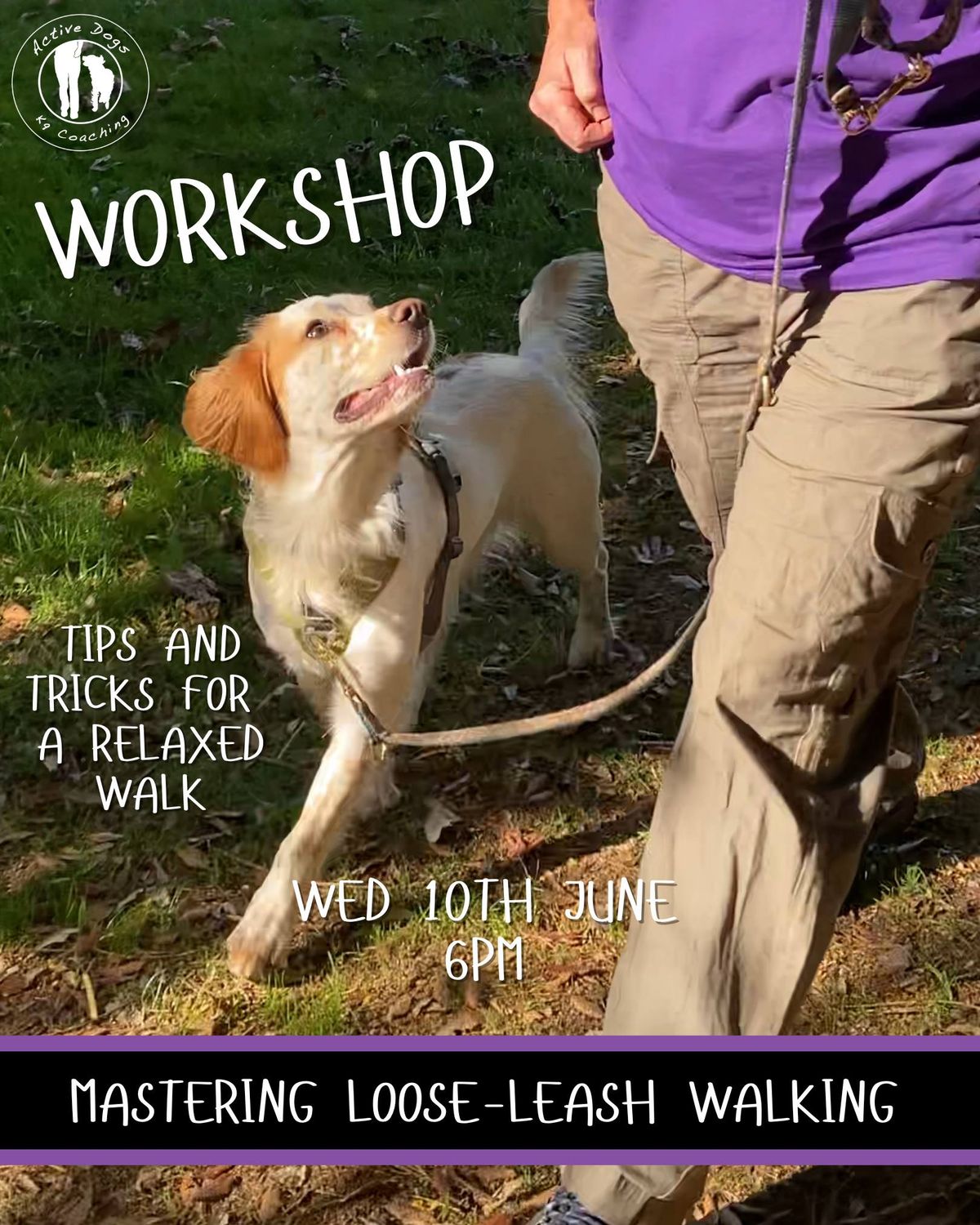 Mastering Loose Leash Walking Workshop
