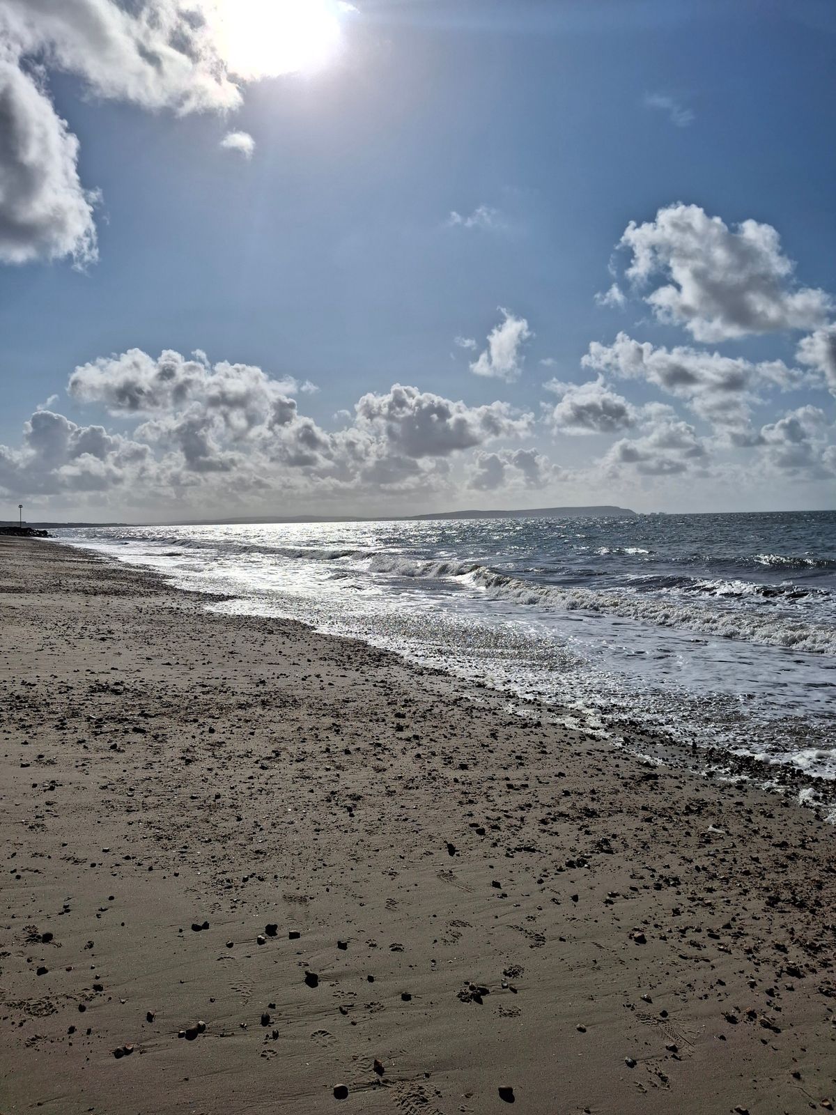 Doggy Play Date at Highcliffe Beach