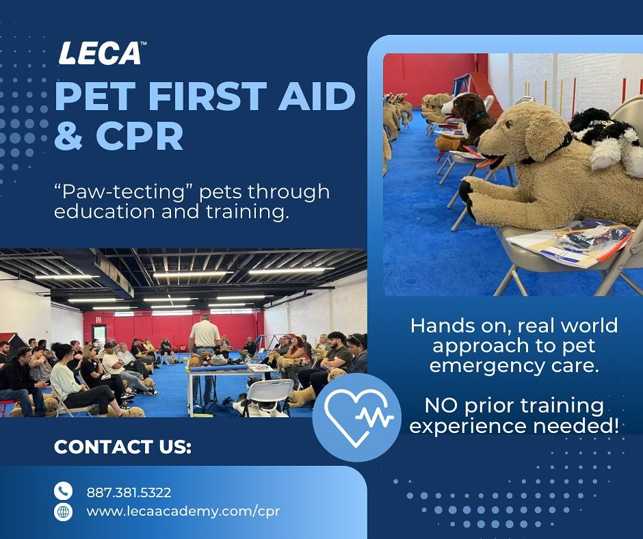 Pet First Aid & CPR