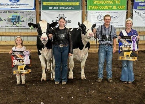 Dairy Steer Tag-in\/Weigh-in with Beef Steers