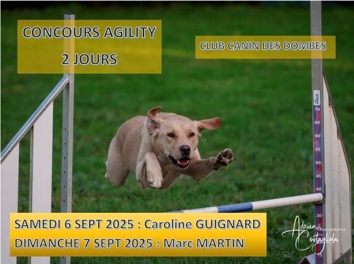 Concours Agility 2 jours Club Canin des Dombes