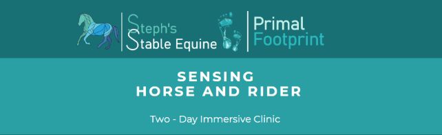 Sensing Horse and Rider Two Day Clinic 12th & 13th October Lassanai Farm Narre Warren East