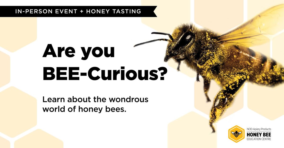 NOD Speaker Series: Are you BEE-Curious? 