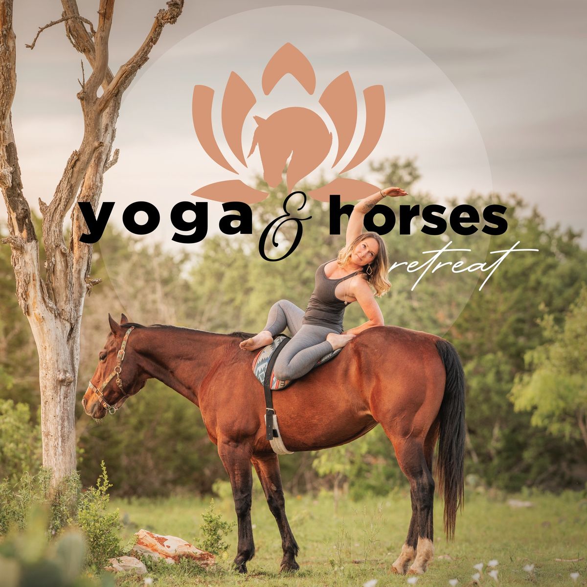 Yoga & Horses Retreat 