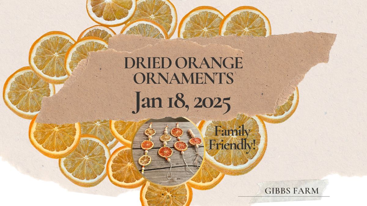 Dried Orange Ornaments 