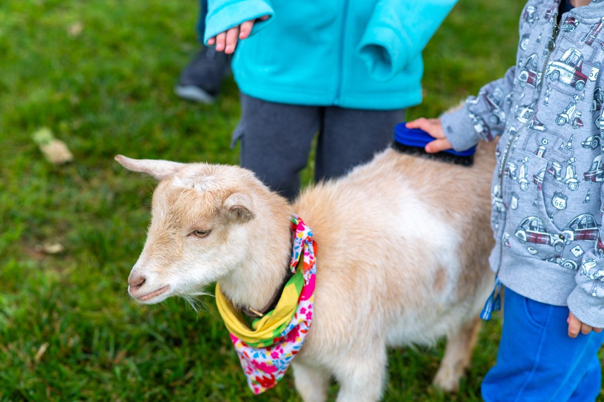 Animal Encounters Weekend