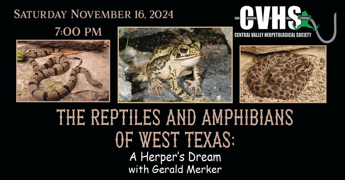 CVHS Meeting: The Reptiles and Amphibians of West Texas with Gerold Merker