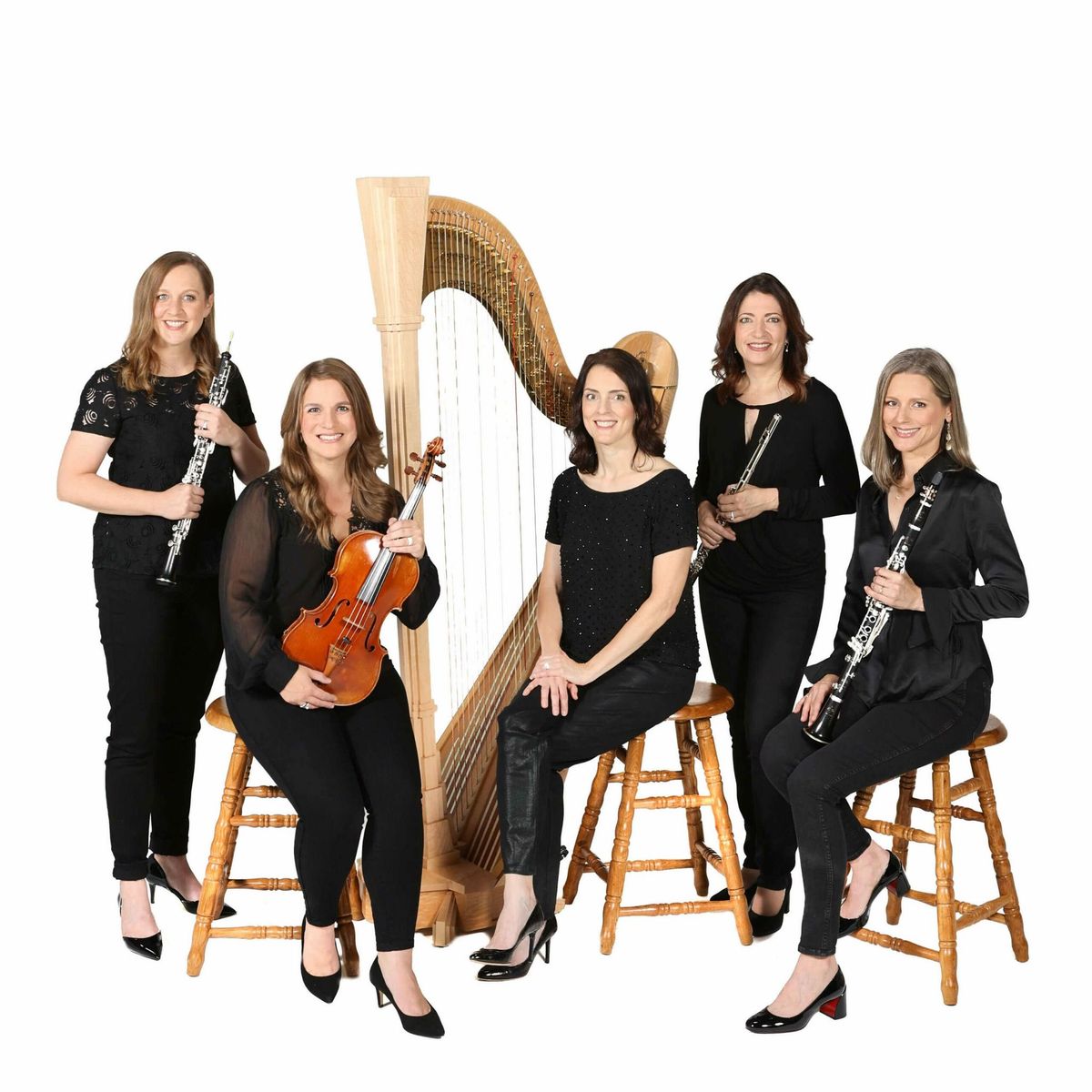 Concert for a Cause: The Merian Ensemble