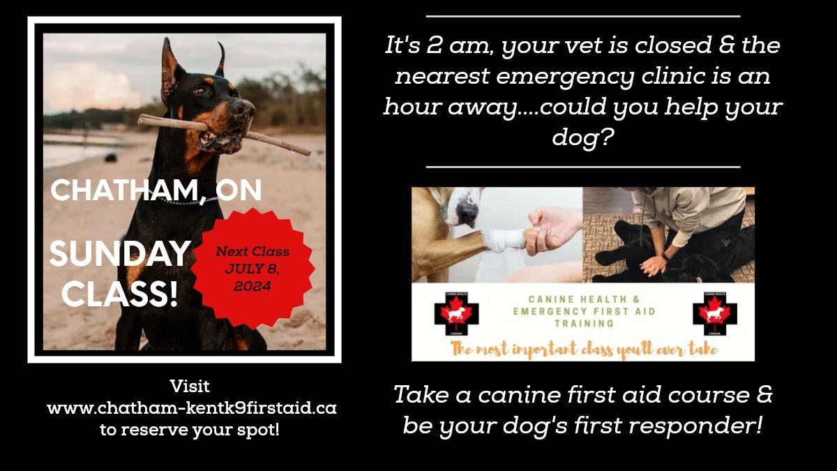 Canine Health & Emergency First Aid - Chatham, Ontario