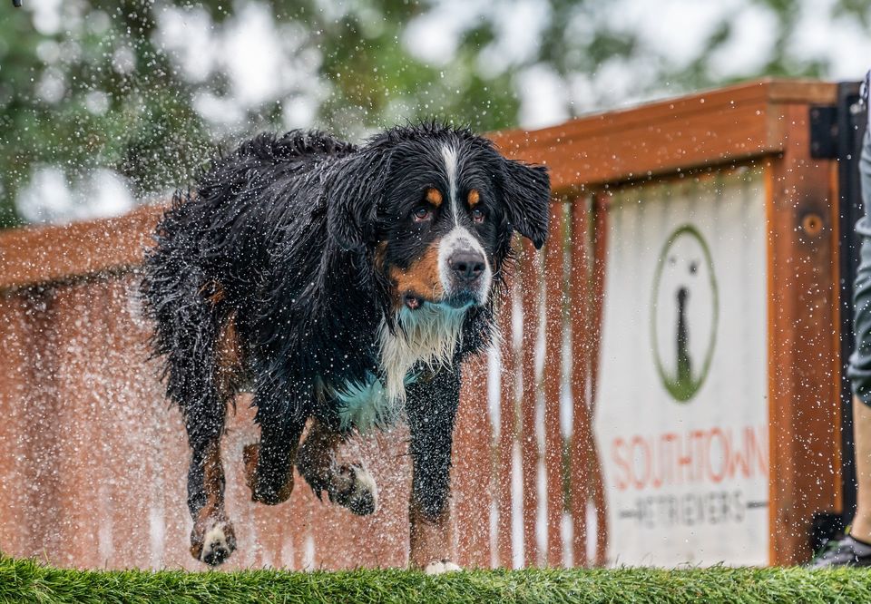 UKC Dock Jumping September 2022, Southtown K9, Rock Falls, 9 September