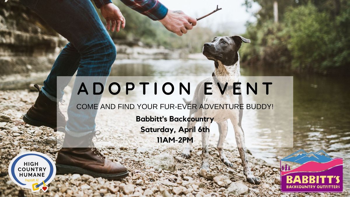 Babbitt's Backcountry Adoption Event
