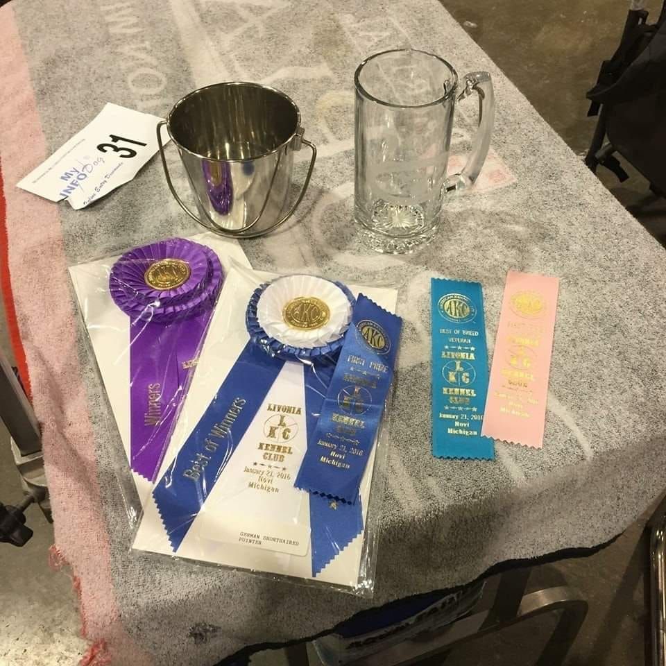Conewango Valley Kennel Club Dog Show