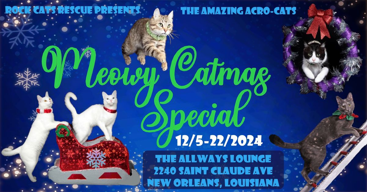 Rock Cats Rescue presents The Meowy Catmas Special!