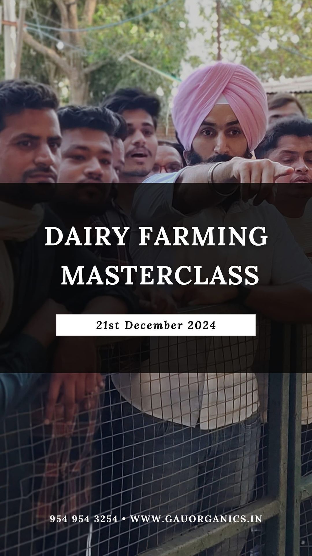 Dairy Masterclass (December)