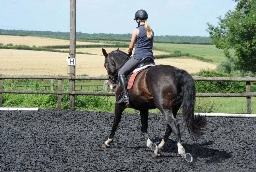 Flatwork Lessons with GP Rider Hollie Lewis