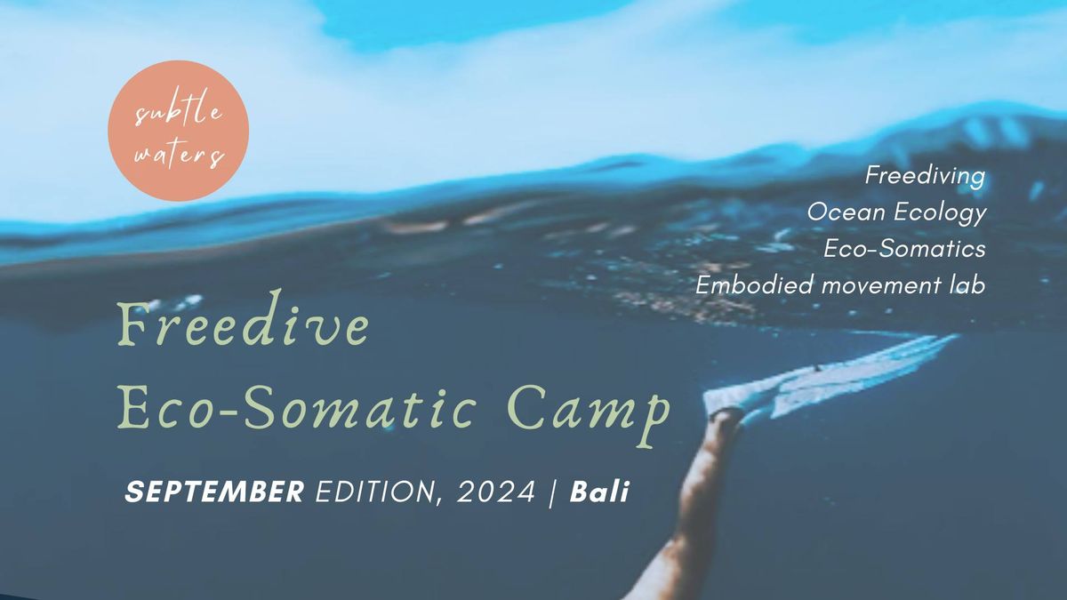 September Freediving Eco-Somatic Camp | Subtle Waters