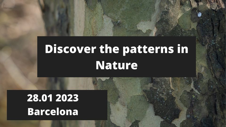 Discover the Patterns in Nature- Forest Bathing experience (Barcelona)