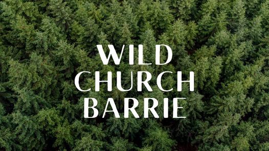 Sunnidale Park - Wild Church Meeting
