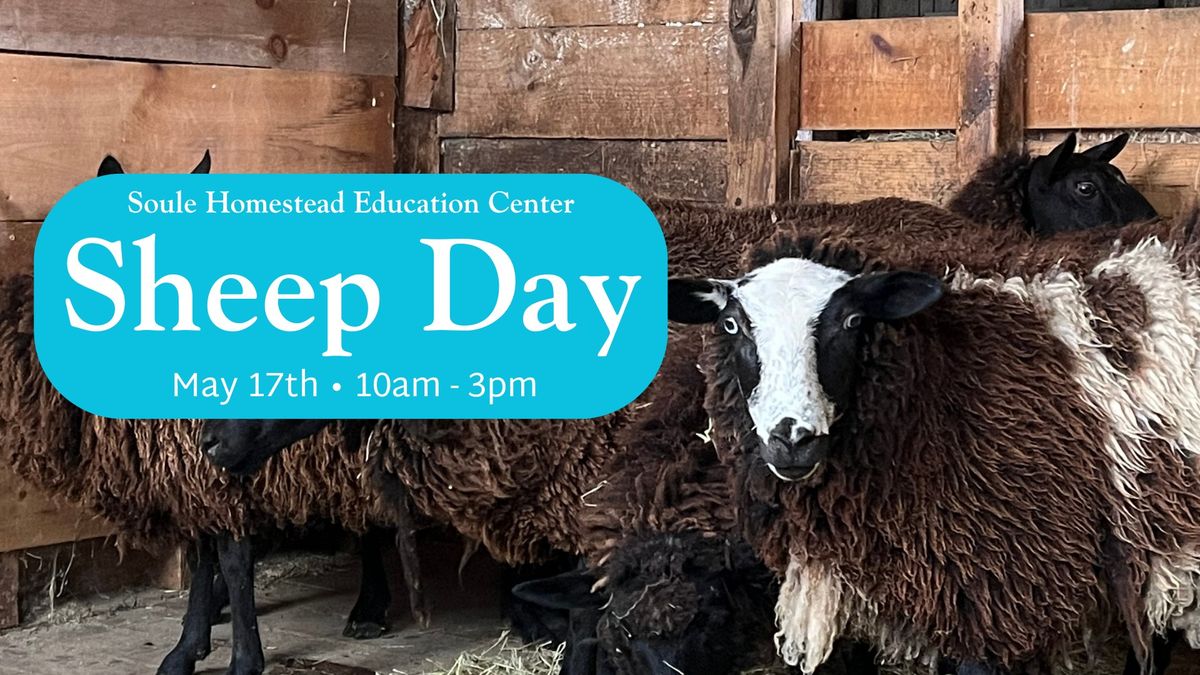 Sheep Day - May 17, 2025 - Soule Homestead Education Center