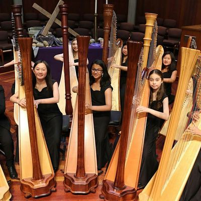 Bay Area Harp Foundation