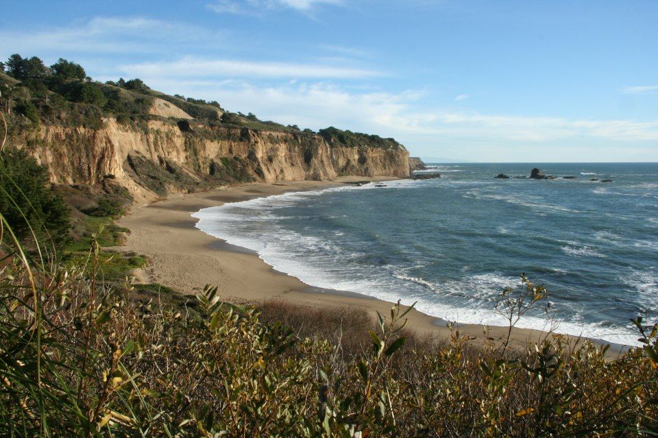 Edible & Medicinal Plants of the North-Central California Coast: 6-month Spring\/Summer Classroom & Field Study Program