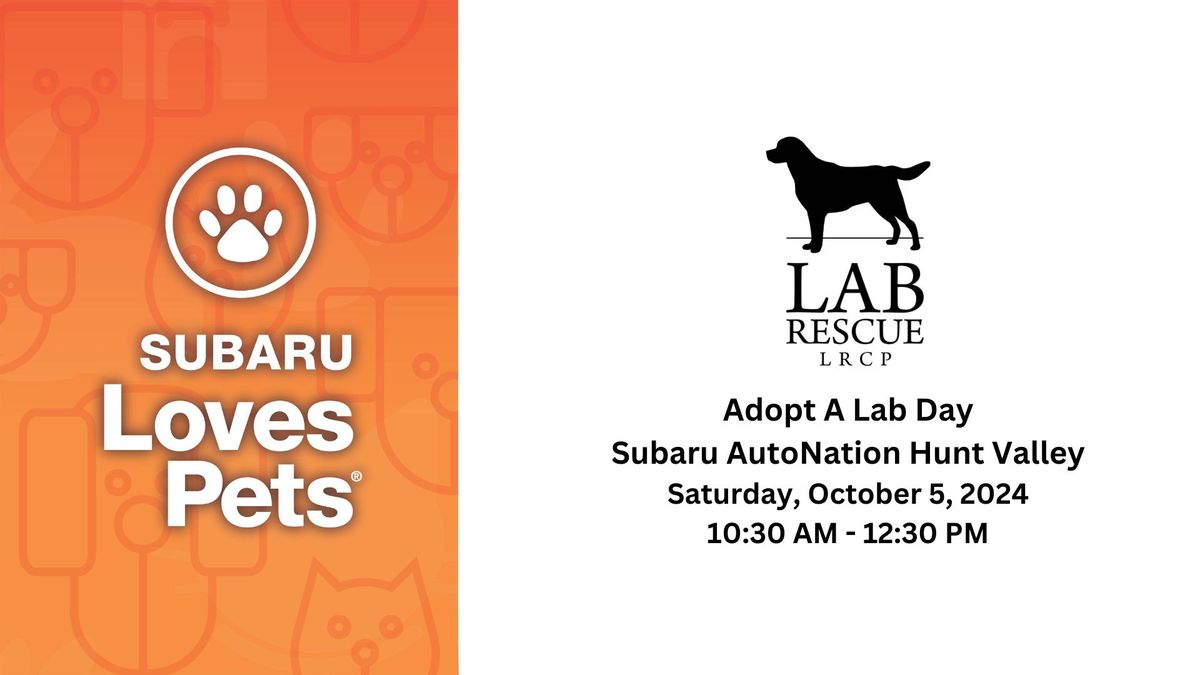 Adopt a Lab Day