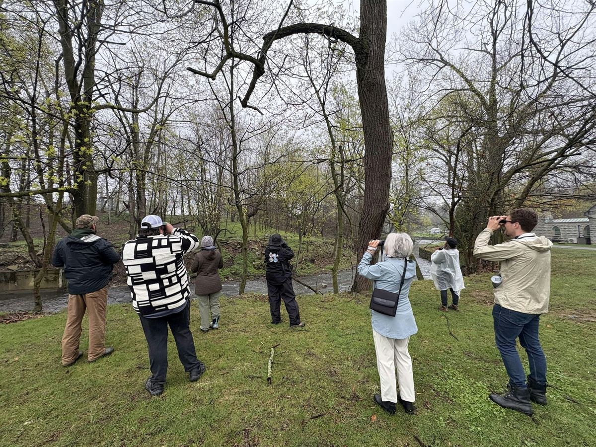 Warbling Wandering