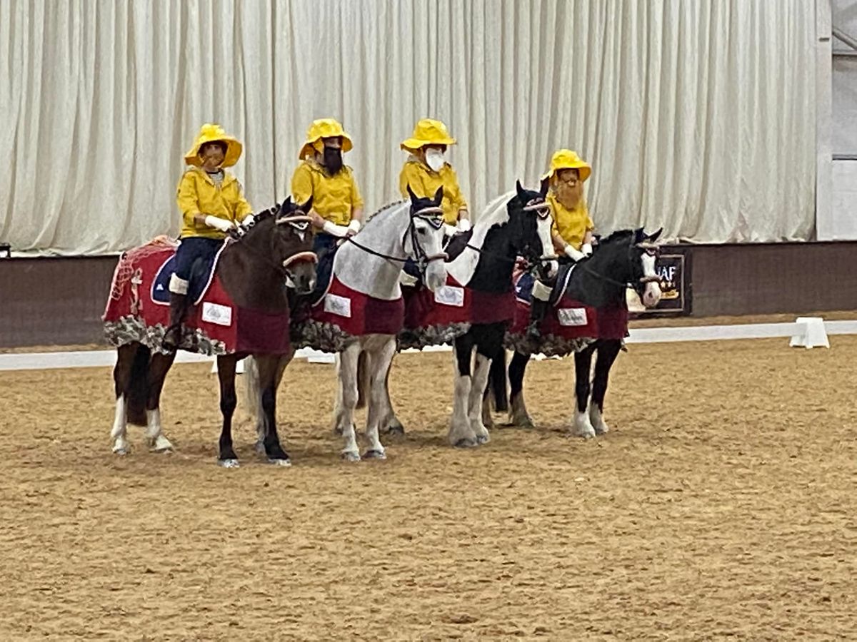 Flatwork with Julia L