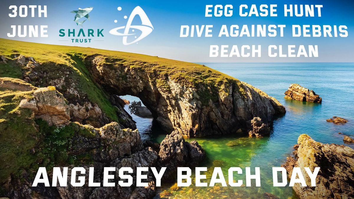 The Shark Trust Great Eggcase Hunt and Ocean Clean up 