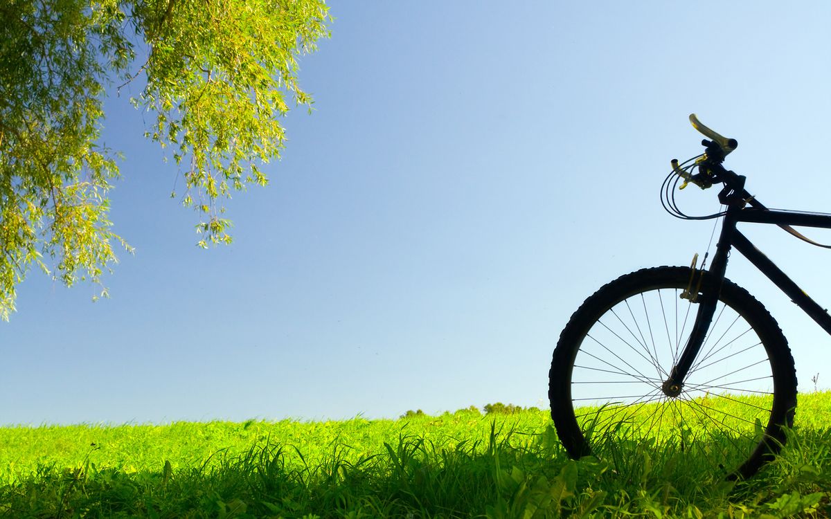 Bicycle Therapy Yoga Retreat