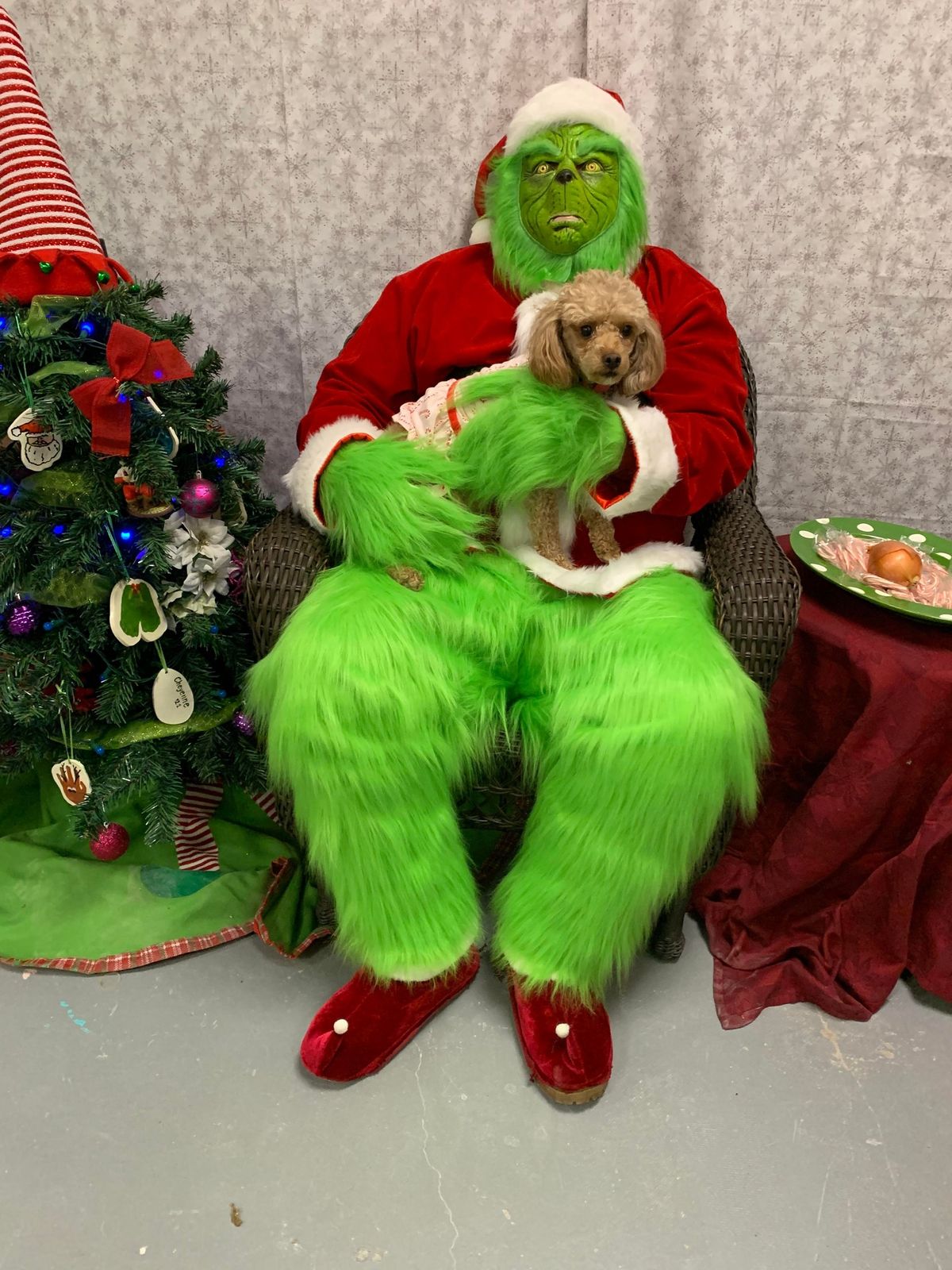 Paint with The Grinch-Pets 12\/13