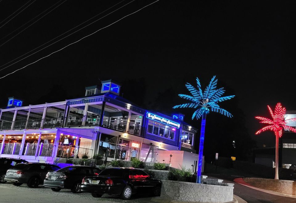 Band Madness at the Electric Palm