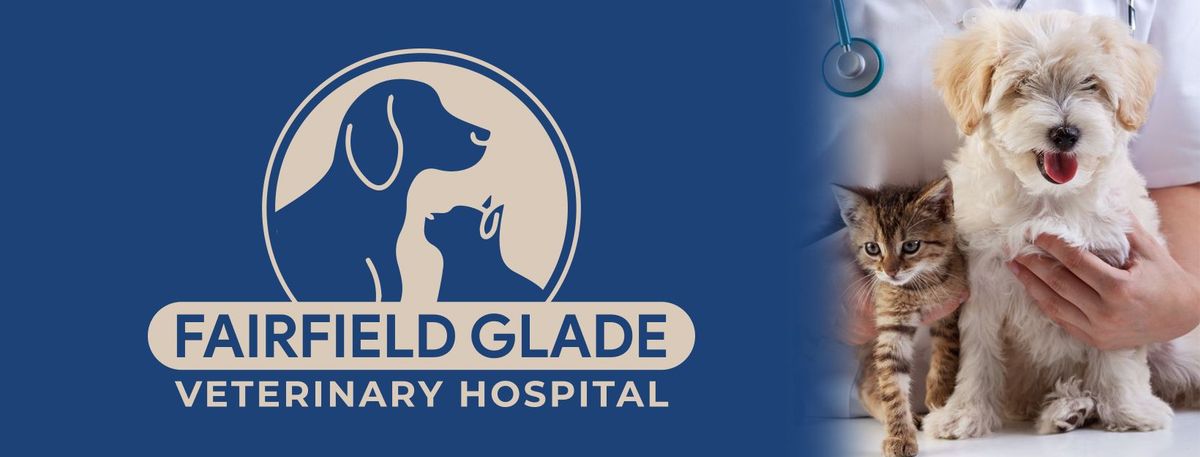 Fairfield Glade Veterinary Hospital Open House!