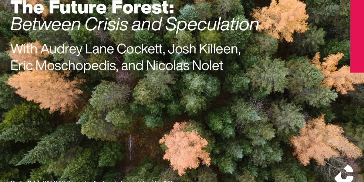 The Future Forest: Between Crisis and Speculation