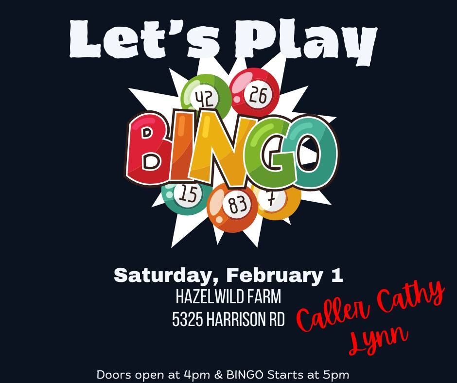 BINGO at Hazelwild Farm Equestrian Center