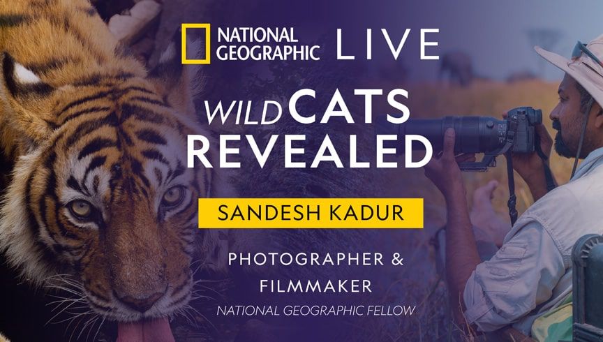 National Geographic Live - "Wild Cats Revealed" with Sandesh Kadur