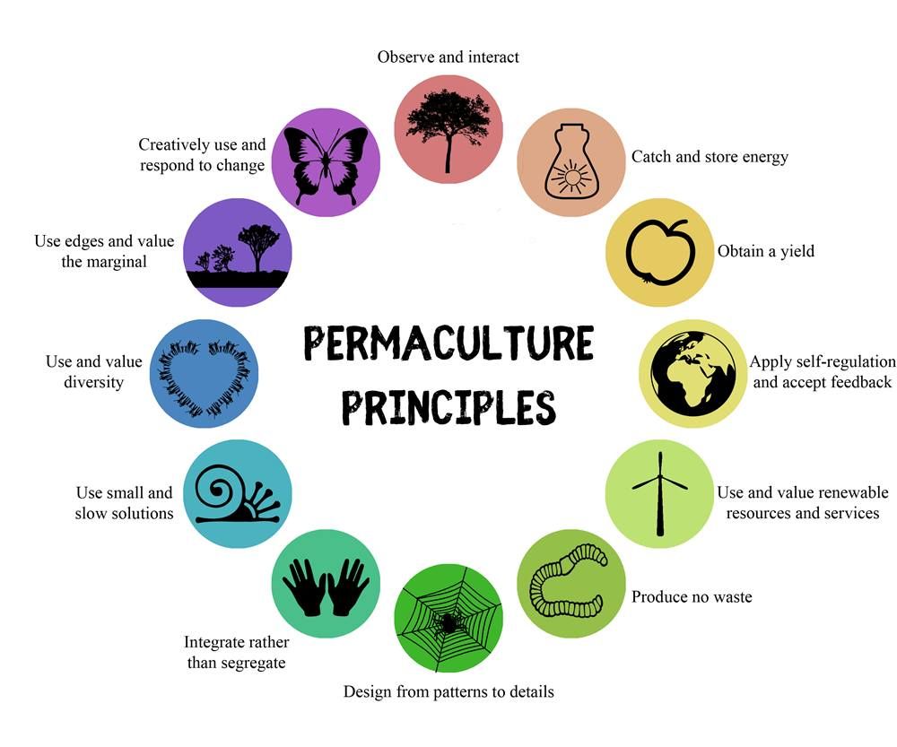 Basics of Permaculture Design