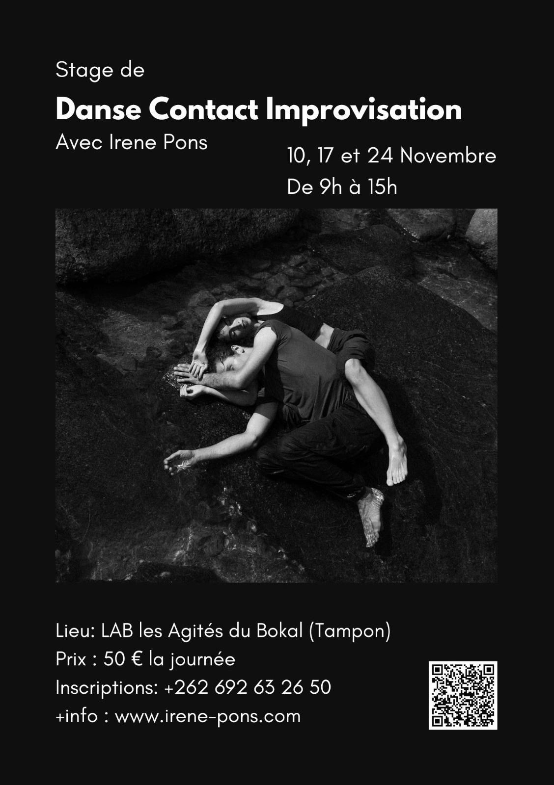 STAGES danse Contact Improvisation ek Irene Pons