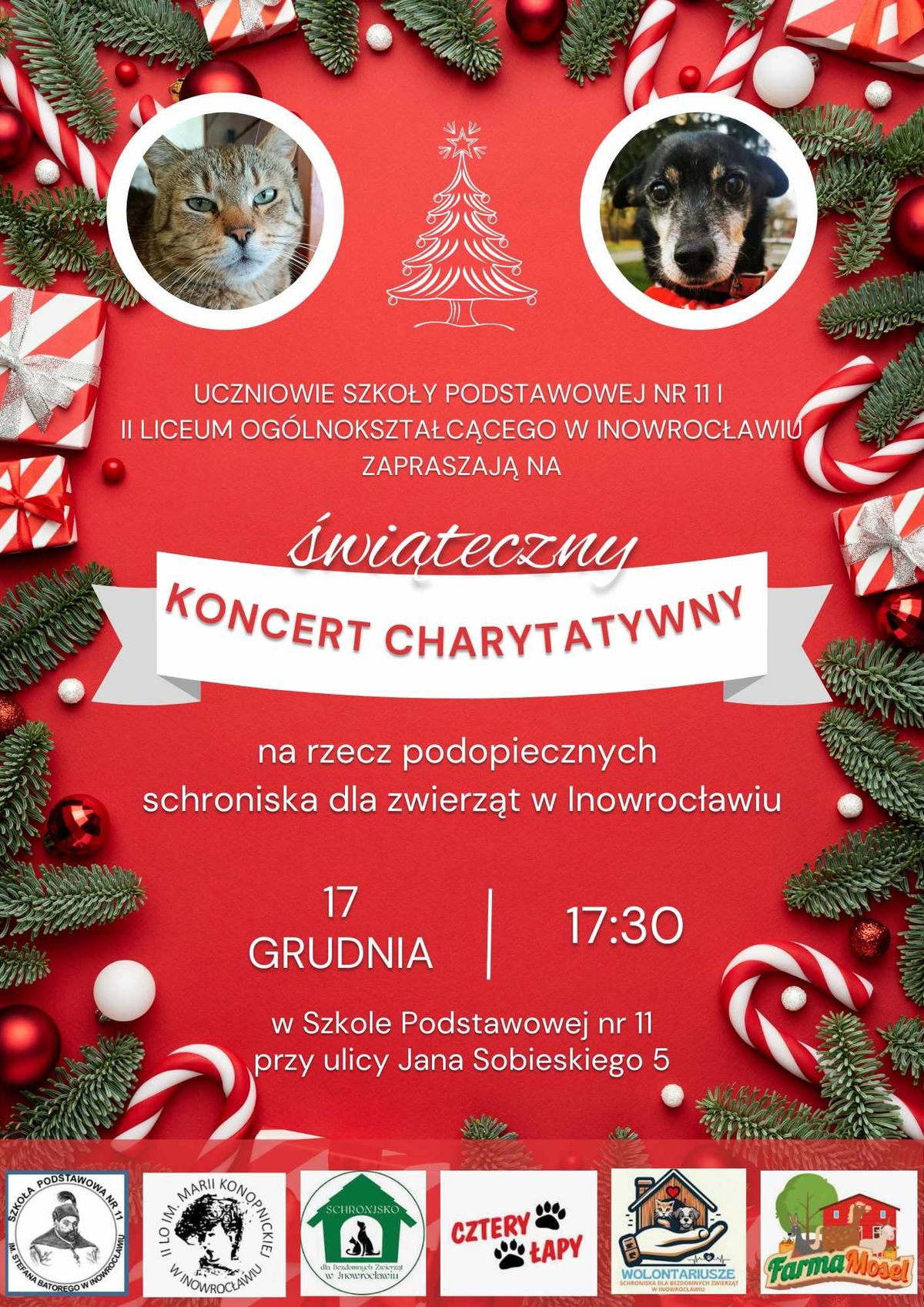 \u015awi\u0105teczny Koncert Charytatywny na rzecz podopiecznych Schroniska dla Zwierz\u0105t w Inowroc\u0142awiu