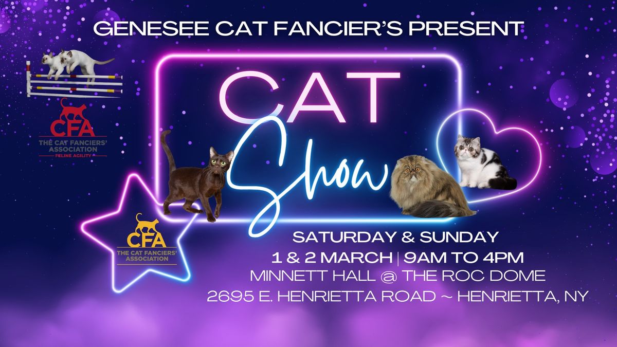 BIG ROCHESTER CAT SHOW