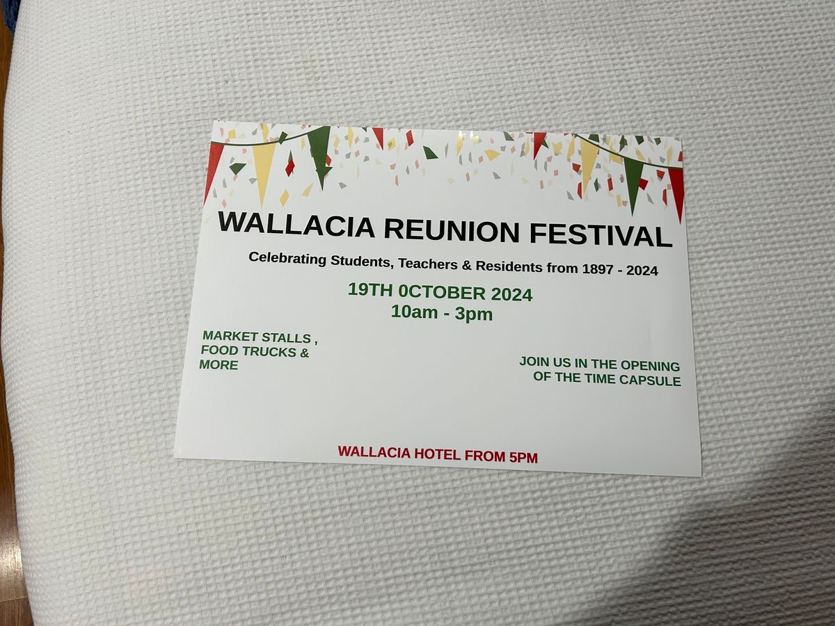 Wallacia Public School reunion night event 